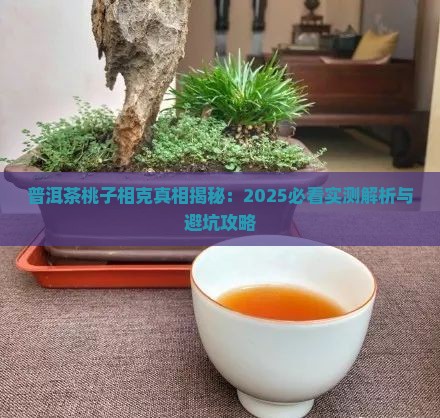 油桃和普洱茶相克吗