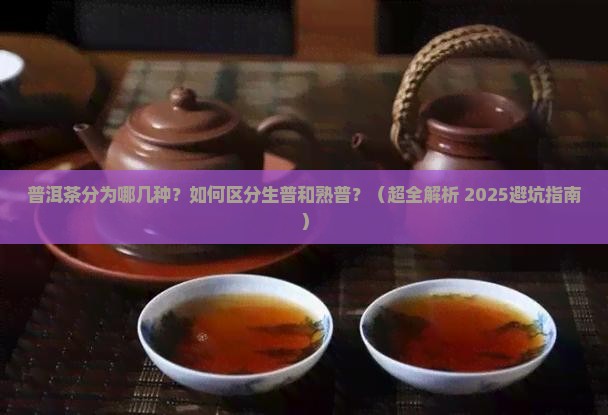 普洱茶分为几种普洱茶有啥茶