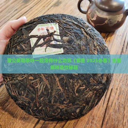 蒲公英和茶叶一起泡有什么功效