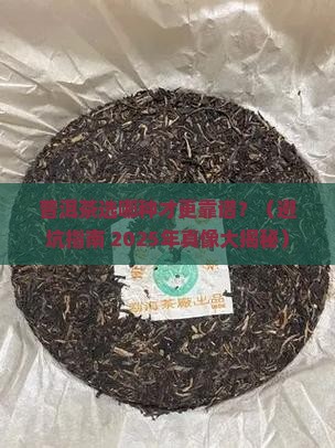 普洱茶哪一种更好一些呢