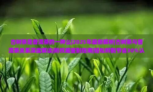 古树茶是普洱茶的一种么
