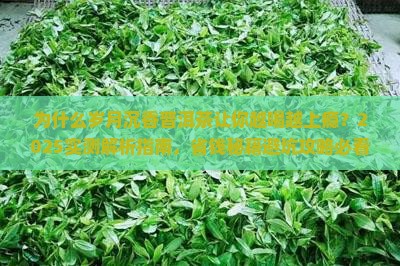 岁月沉香普洱茶介绍