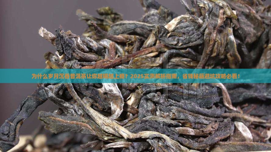 岁月沉香普洱茶介绍