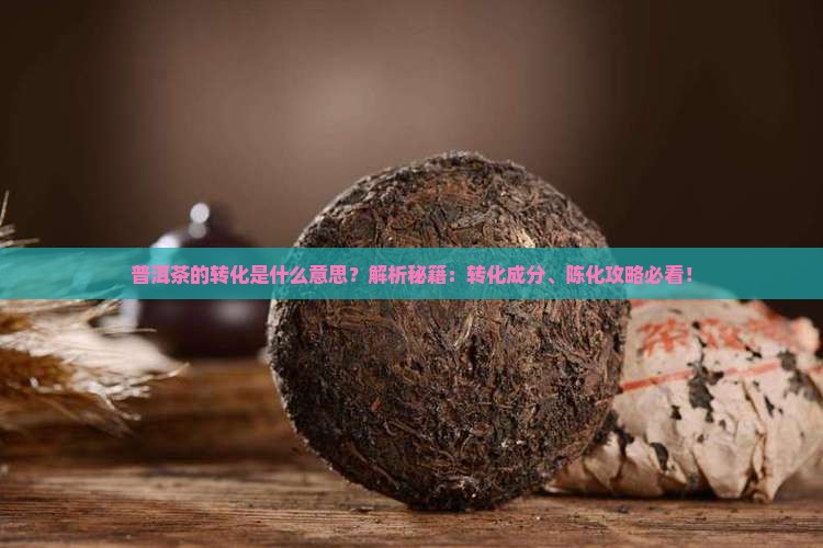 普洱茶的转化是什么意思