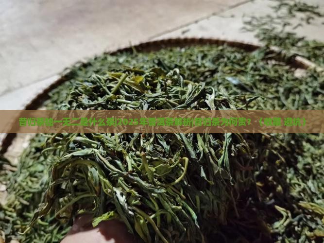 昔归茶独一无二是什么茶