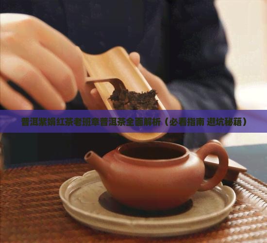 普洱紫娟红茶老班章普洱茶介绍