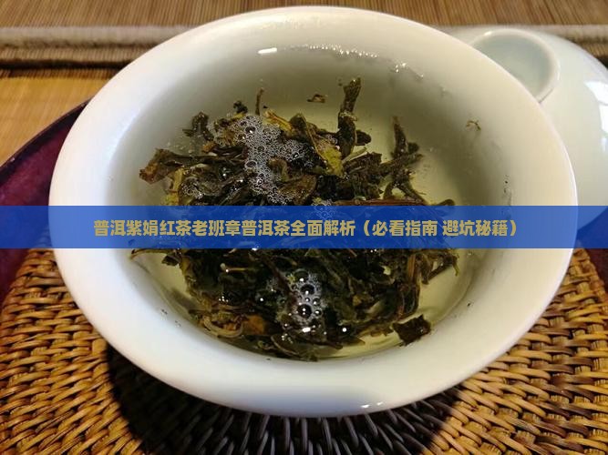 普洱紫娟红茶老班章普洱茶介绍