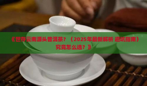 世存云南源头普洱茶