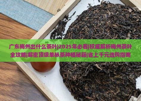 广东梅州出什么茶叶