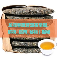 龙润春晖普洱茶早期