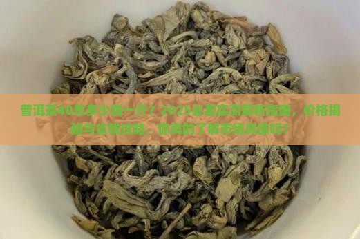 普洱茶40年多少钱一斤