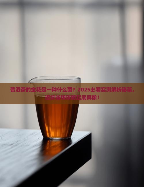 普洱茶的金花是一种什么菌