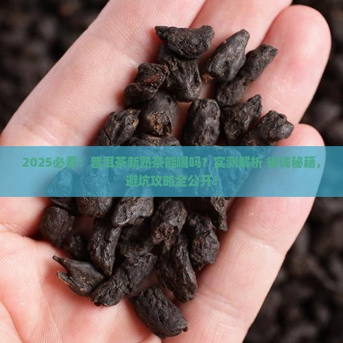 普洱茶新熟茶可以喝吗