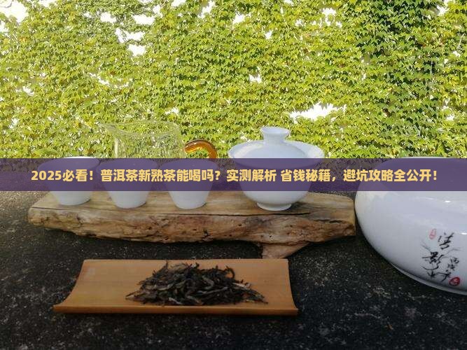 普洱茶新熟茶可以喝吗