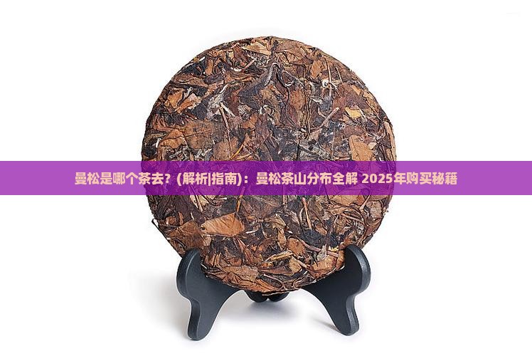 曼松是哪个茶去