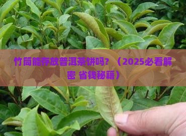 竹筒能存放普洱茶饼吗