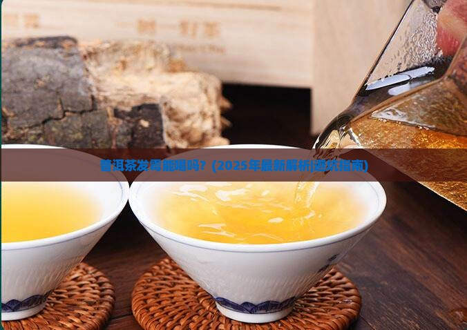 普洱茶发霉能喝吗