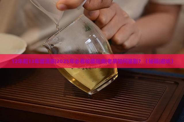 12年和13年普洱茶