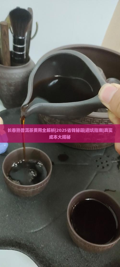 长春熟普洱茶费用