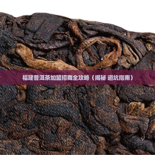 福建普洱茶渠道代理招商