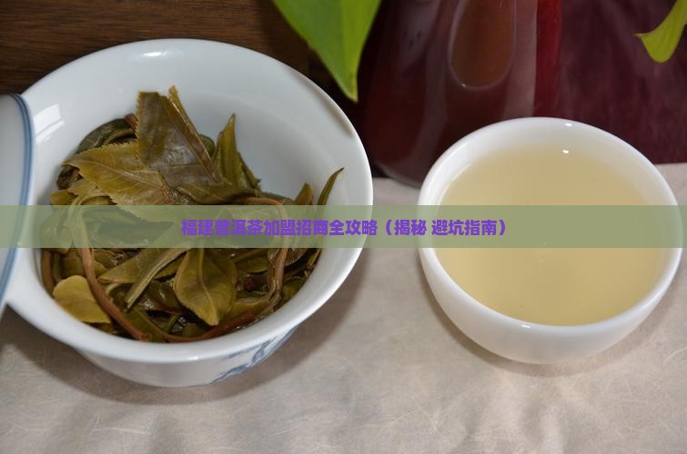 福建普洱茶渠道代理招商