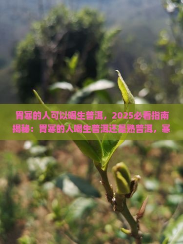 胃寒的人可以喝生普洱