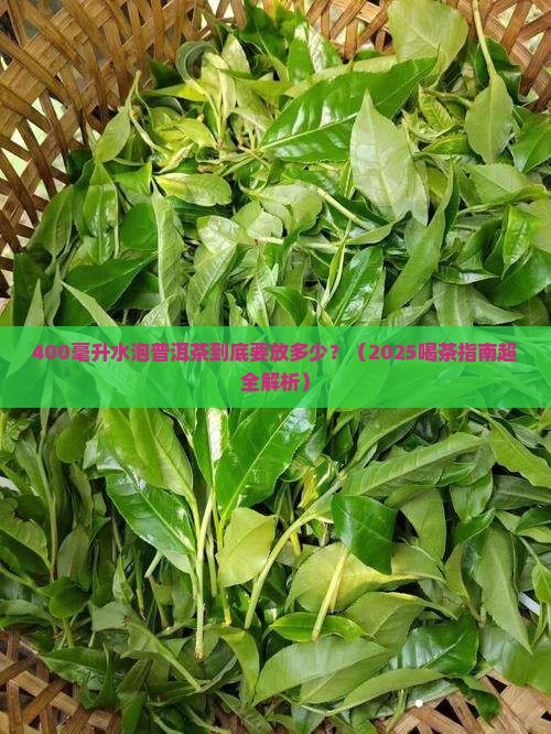 400毫升泡多少普洱茶