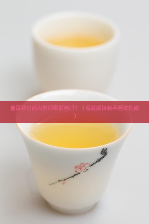 普洱茶口感很稠很苦吗