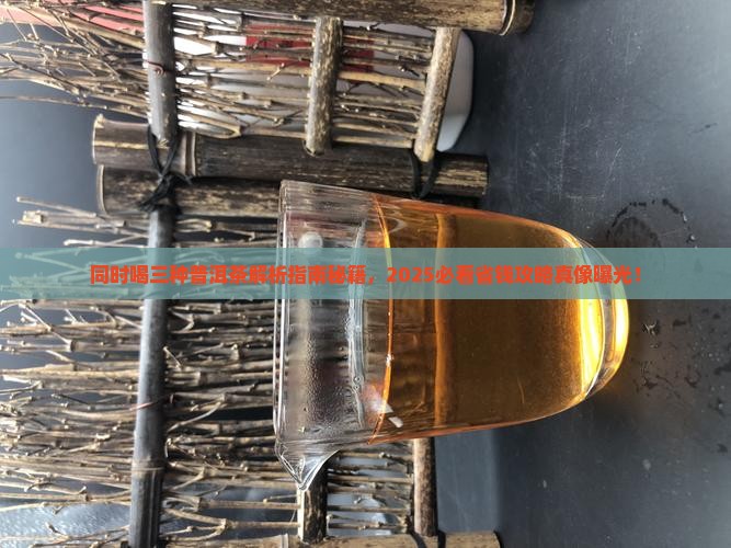 同时喝三种普洱茶