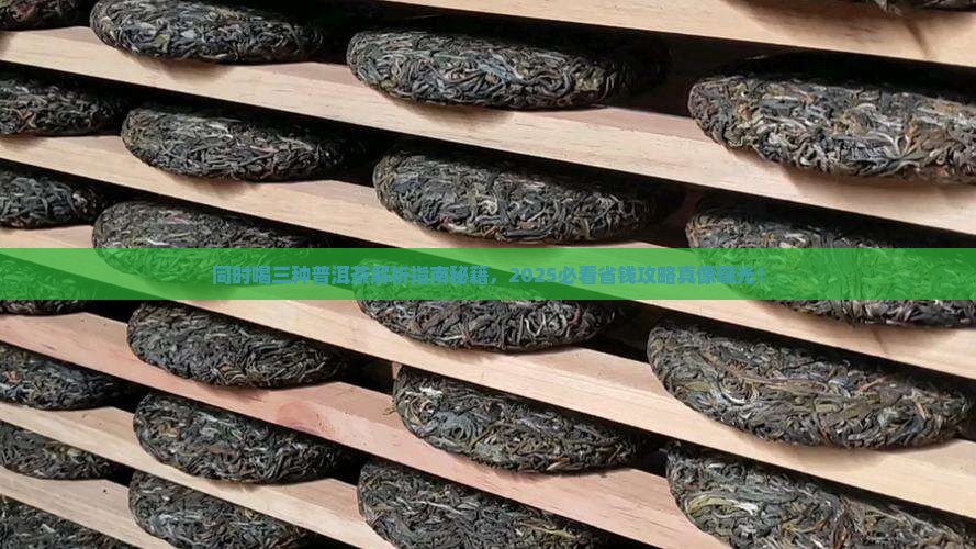 同时喝三种普洱茶