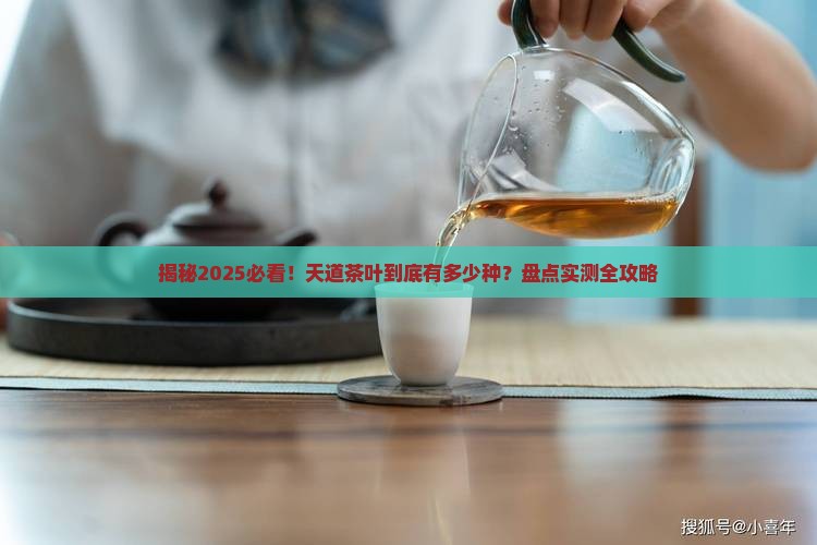 天道茶叶有多少种