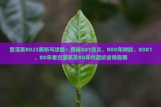 普洱茶8023