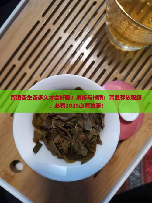 普洱茶生茶多久才会好喝