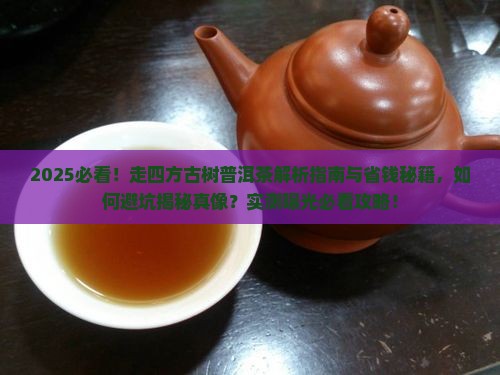 走四方古树普洱茶