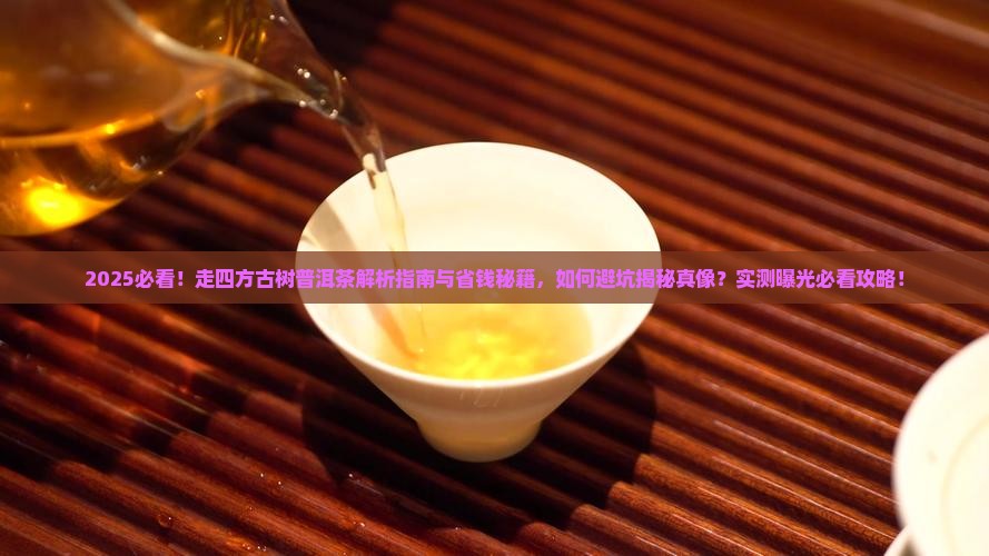 走四方古树普洱茶