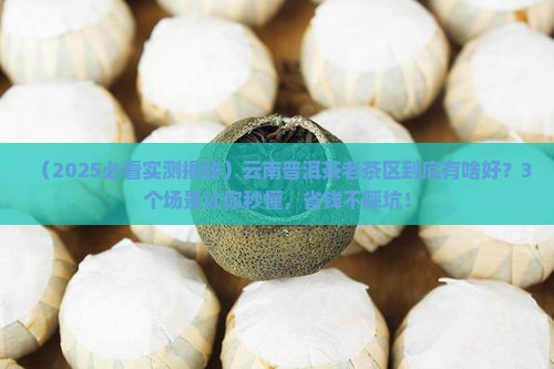云南普洱茶老茶区
