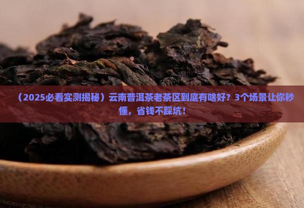 云南普洱茶老茶区