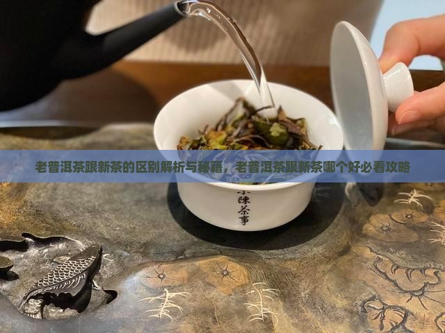 老普洱茶跟新茶