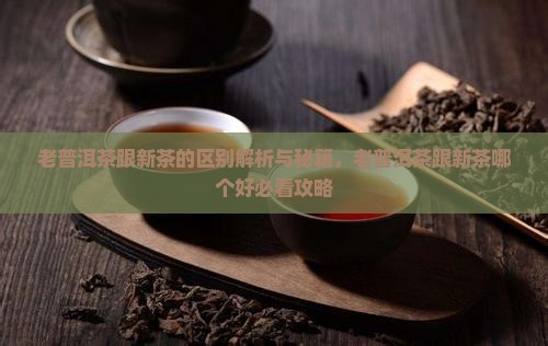 老普洱茶跟新茶