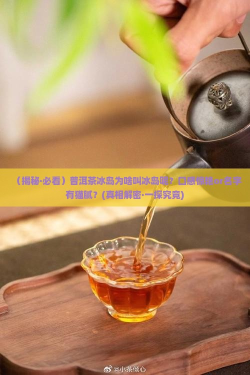 普洱冰岛为什么叫冰岛呢
