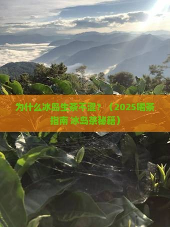 为什么冰岛生茶不涩