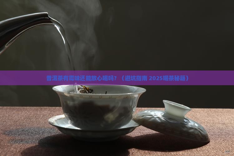 普洱茶有点点霉味能喝吗