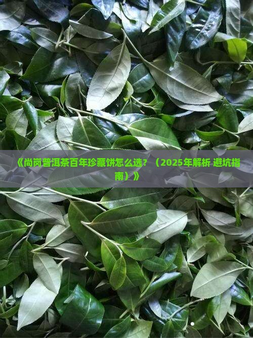 尚岗普洱茶百年珍藏饼