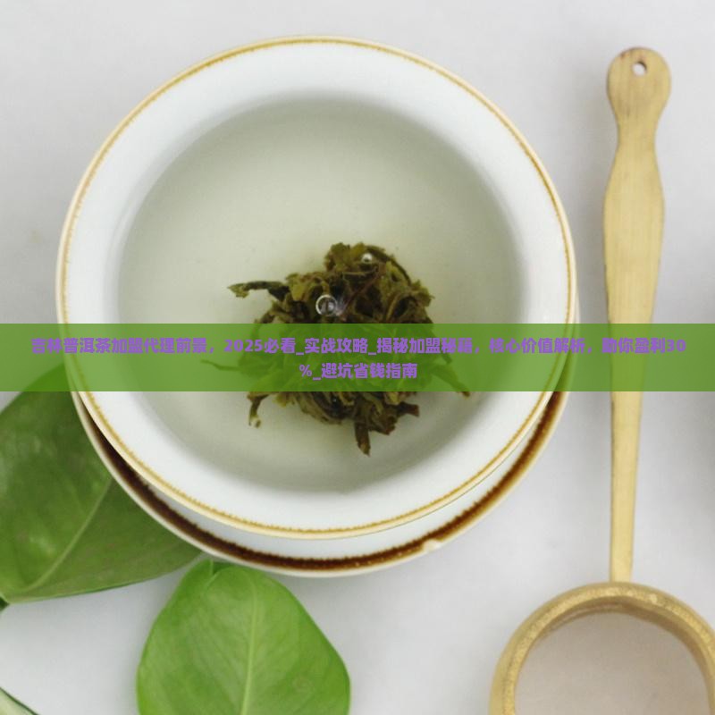 吉林普洱茶加盟代理前景