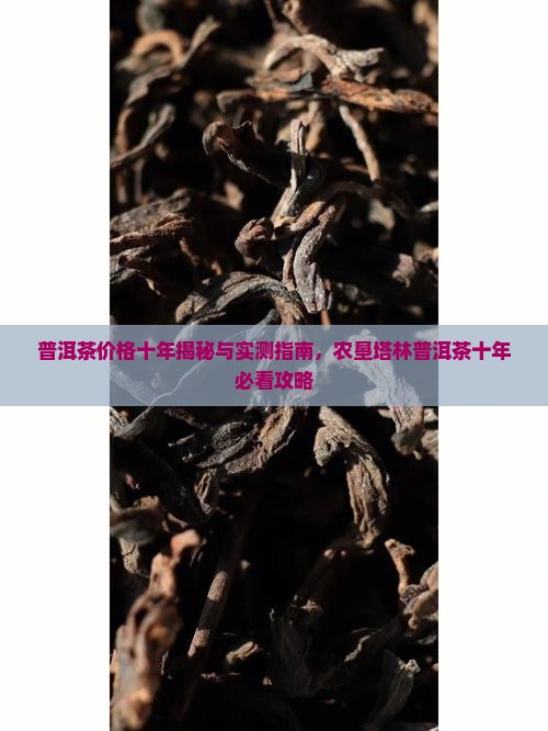 农垦塔林普洱茶十年