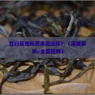 昔归茶地理标志
