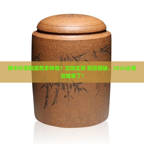 辣木叶茶的功效与作用及禁忌