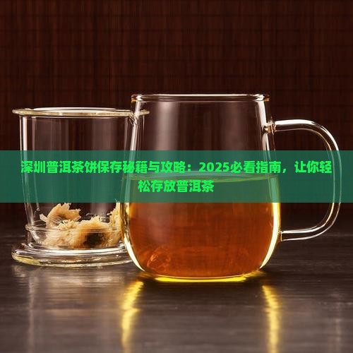 深圳如何存放普洱茶饼