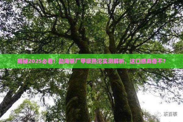 勐海茶厂甲级熟沱