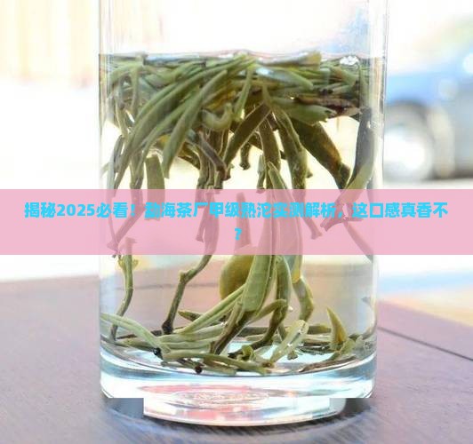 勐海茶厂甲级熟沱
